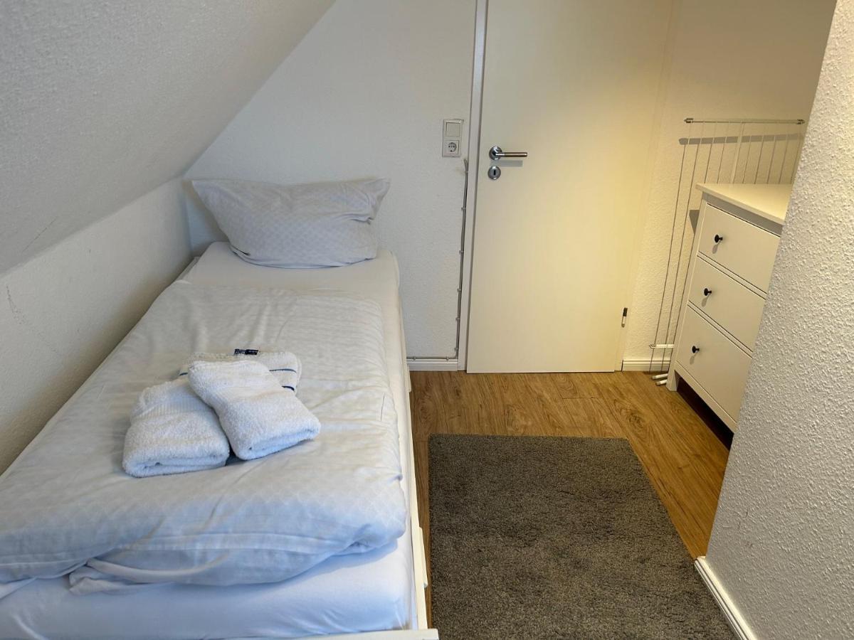 Kegelrobbe